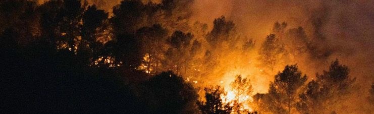 Feu de forêt dans les Corbières
